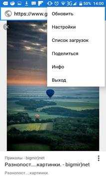 Internet browser screenshot 3