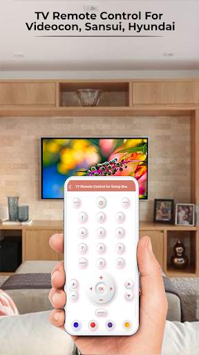 TV Remote Control For Videocon, Sansui, Hyundai screenshot 2