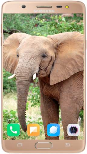 Elephant Wallpaper Best HD screenshot 10