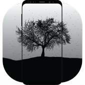 4D Live Wallpaper 1.6