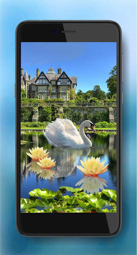 Swans and Lilies LWP स्क्रीनशॉट 3