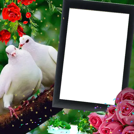 Love Birds Insta DP : Bird DP  screenshot 3