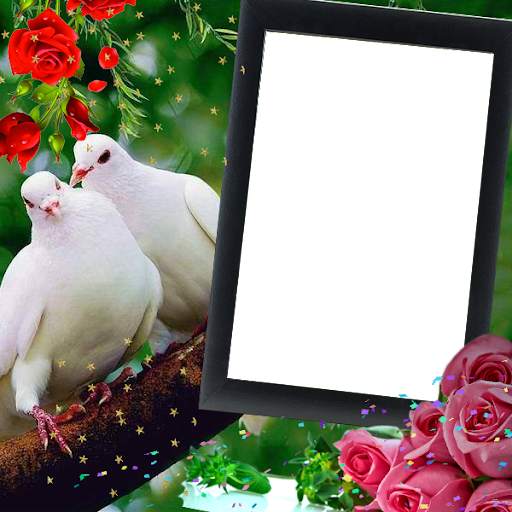 Love Birds Insta DP : Bird DP  screenshot 3