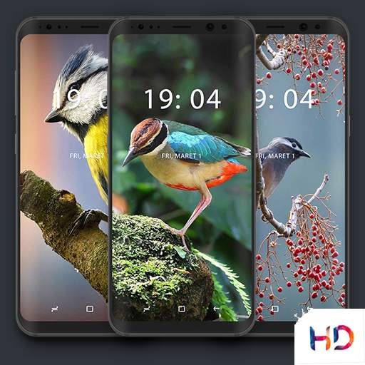 Bird Wallpapers 🦜 1.0