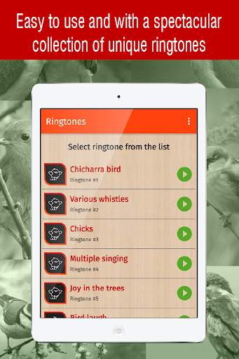 bird ringtones for phone, bird sounds ringtones screenshot 7