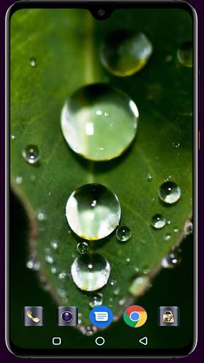 Water Drops Wallpaper screenshot 11