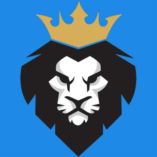 Lion Pro VPN 8