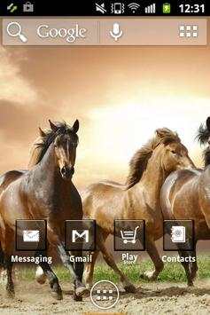 Wild Animals ADW Launcher screenshot 3
