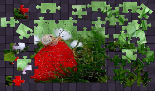 mini Jigsaw Puzzle screenshot 1