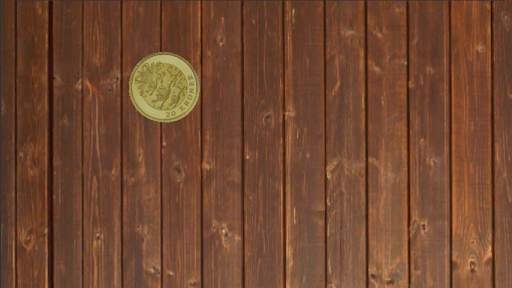 heads or tails 3D screenshot 3