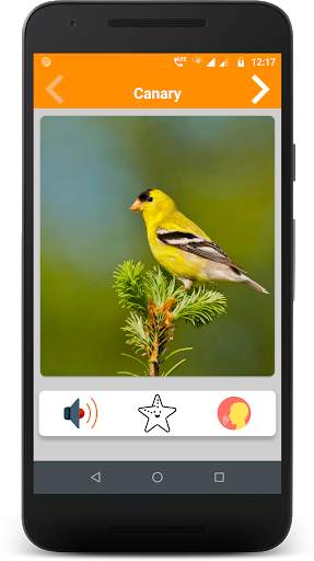 Animals and Birds Sound स्क्रीनशॉट 4