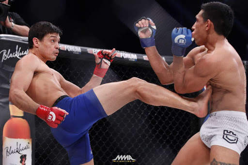 MMA Fighting techniques screenshot 2