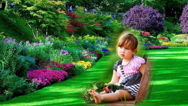 Garden Photo Frame screenshot 1