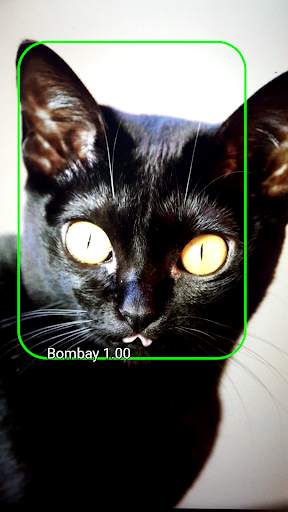 Pet Detect screenshot 3