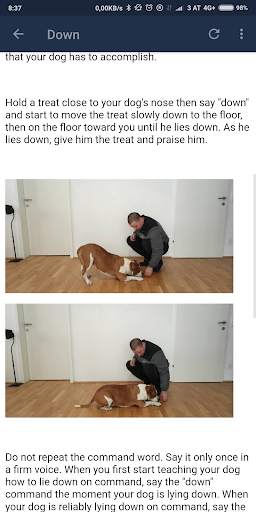 My Smart Dog - Dog training screenshot 4
