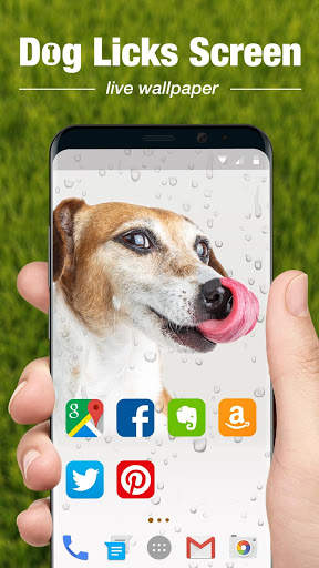 Dog Licks Screen Wallpaper 2019 скриншот 5