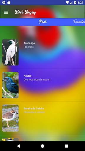 Birds Singing screenshot 1