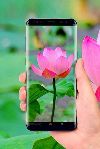 Lotus 3D Live Wallpaper screenshot 1