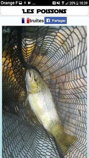 Fishing Fish Counter -  fishing app screenshot 1