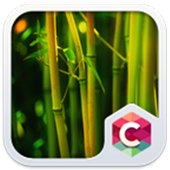 Beautiful Nature Forest Theme icon