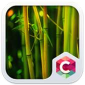 Beautiful Nature Forest Theme 4.8.7
