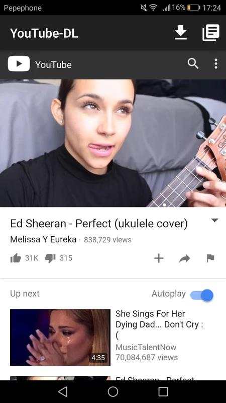 YouTube DL screenshot 2