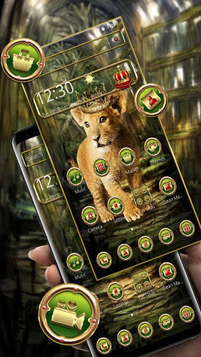 Royal King Baby Lion Theme screenshot 4