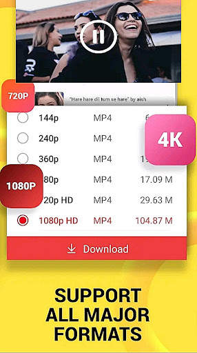 TubeMedia Video Downloader screenshot 3