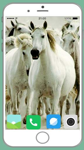 Horse Full HD Wallpaper screenshot 6