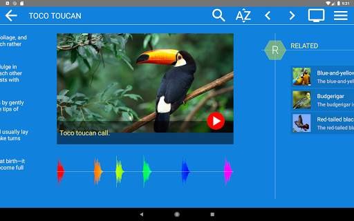 Wild Birds Atlas screenshot 14