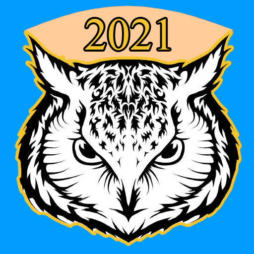 Owl VPN Private Internet Access, Secure Proxy Net 1.2.2