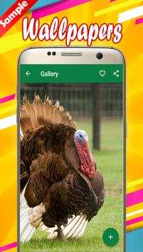 Turkey Wallpapers 4 تصوير الشاشة