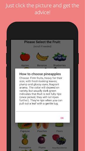 Choose Veggie Fruit Guide FREE screenshot 3