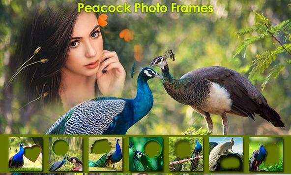 All in One Photo Frame Maker, Editor 2020 22 تصوير الشاشة