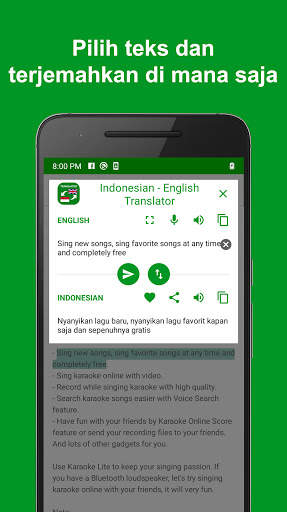 Indonesia - Inggris Penerjemah: gratis & offline screenshot 3