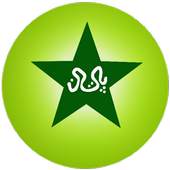 Pakistan Cricket Scores 1.4