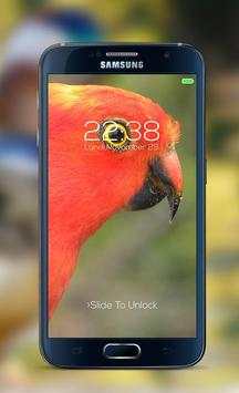 Bird password Lock Screen screenshot 3