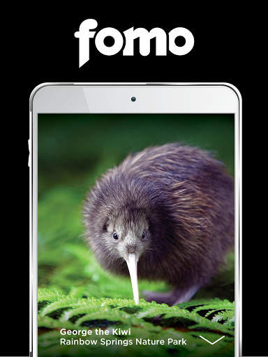 FOMO Guide Rotorua screenshot 3