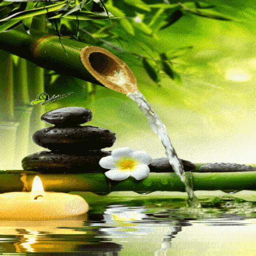 Bamboo Water Live Wallpaper 3