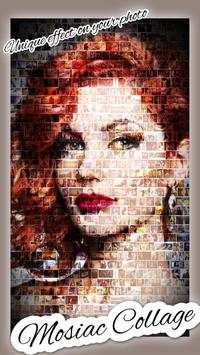Mosaic Photo Creater screenshot 3