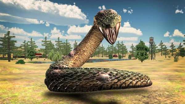 Anaconda Snake Attack Sim screenshot 1