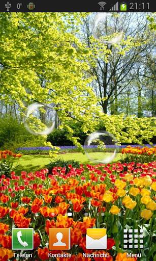 Tulips live wallpaper screenshot 3