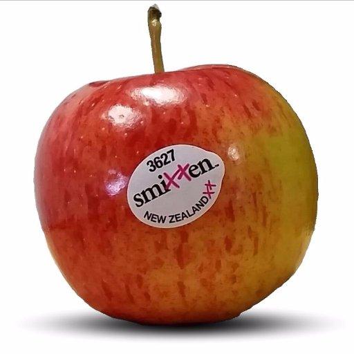 Sheri Demo icon