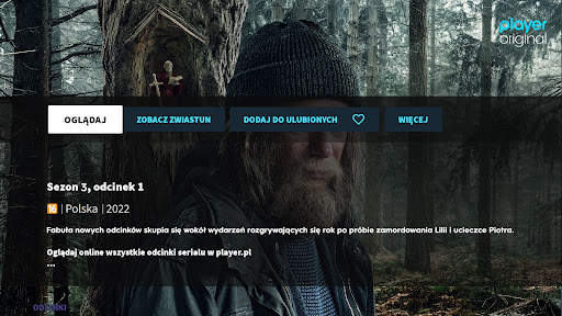 Player (Android TV) screenshot 3