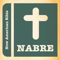 Daily Bible - New American logo