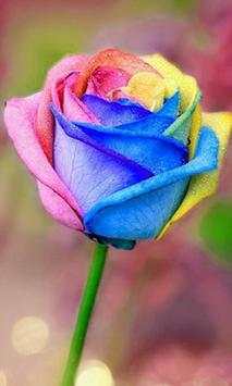 Flower Wallpapers 2020 screenshot 4