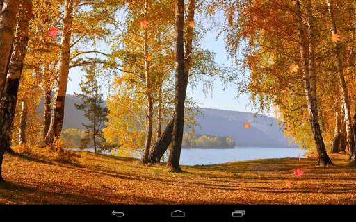 Autumn Wallpaper screenshot 11