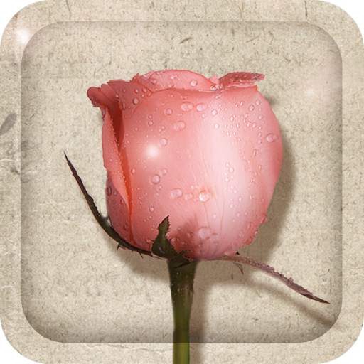 Rose And Poetry Live Wallpaper 1.4.0