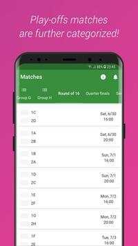 World Cup 2018 screenshot 4