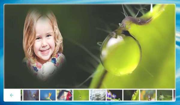 Macro Photo frame screenshot 6
